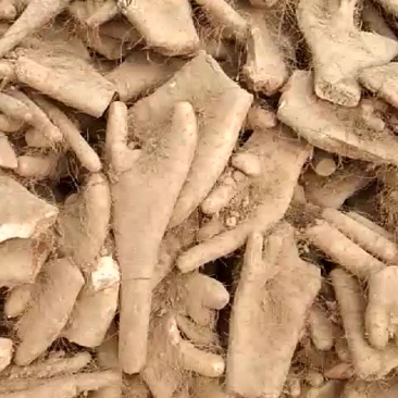 白玉大脚丫