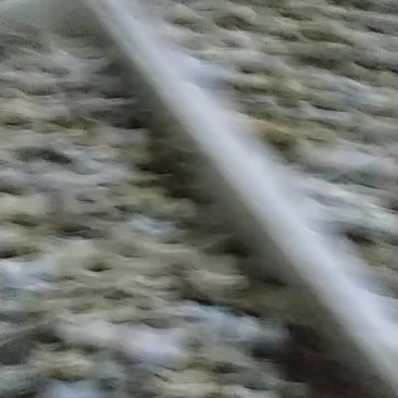 土鹌鹑蛋保证质量保证新鲜