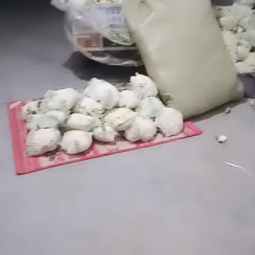 有机菜花