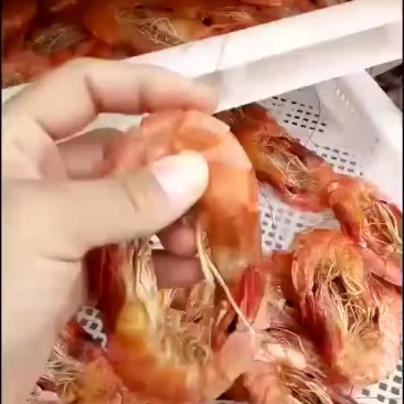 烤虾