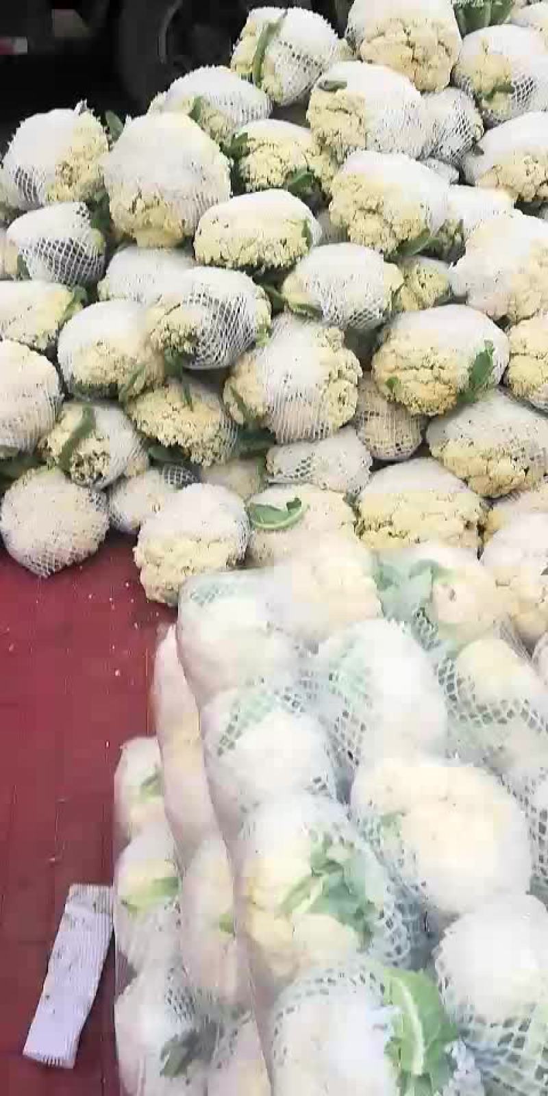 有机花菜，大量上市，