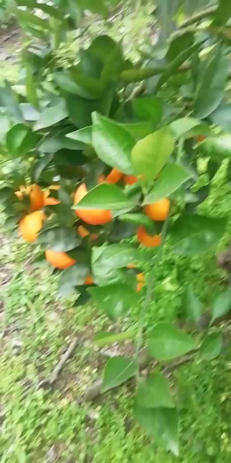 其它