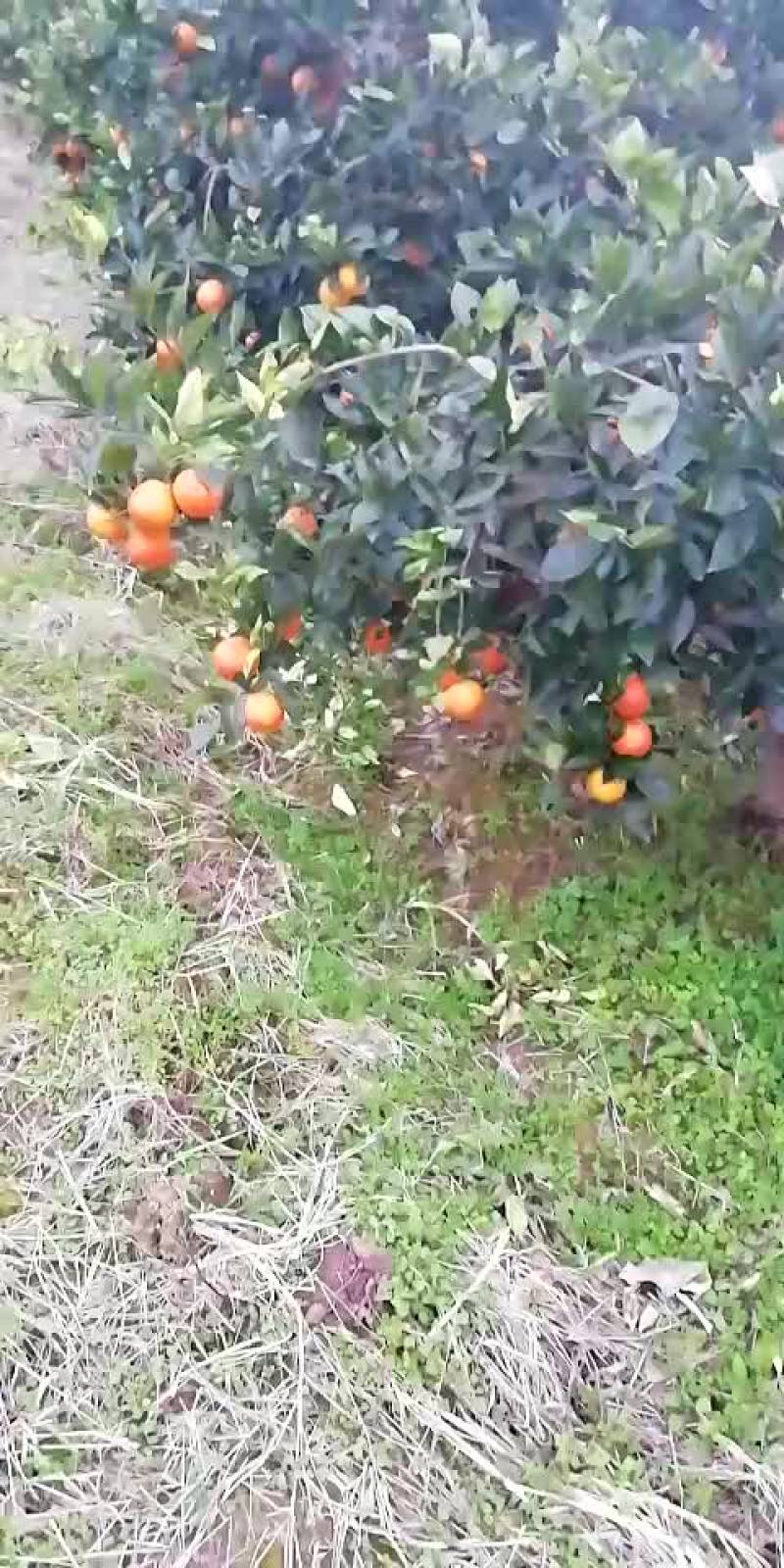 其它
