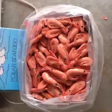 北极熊牌北极甜虾