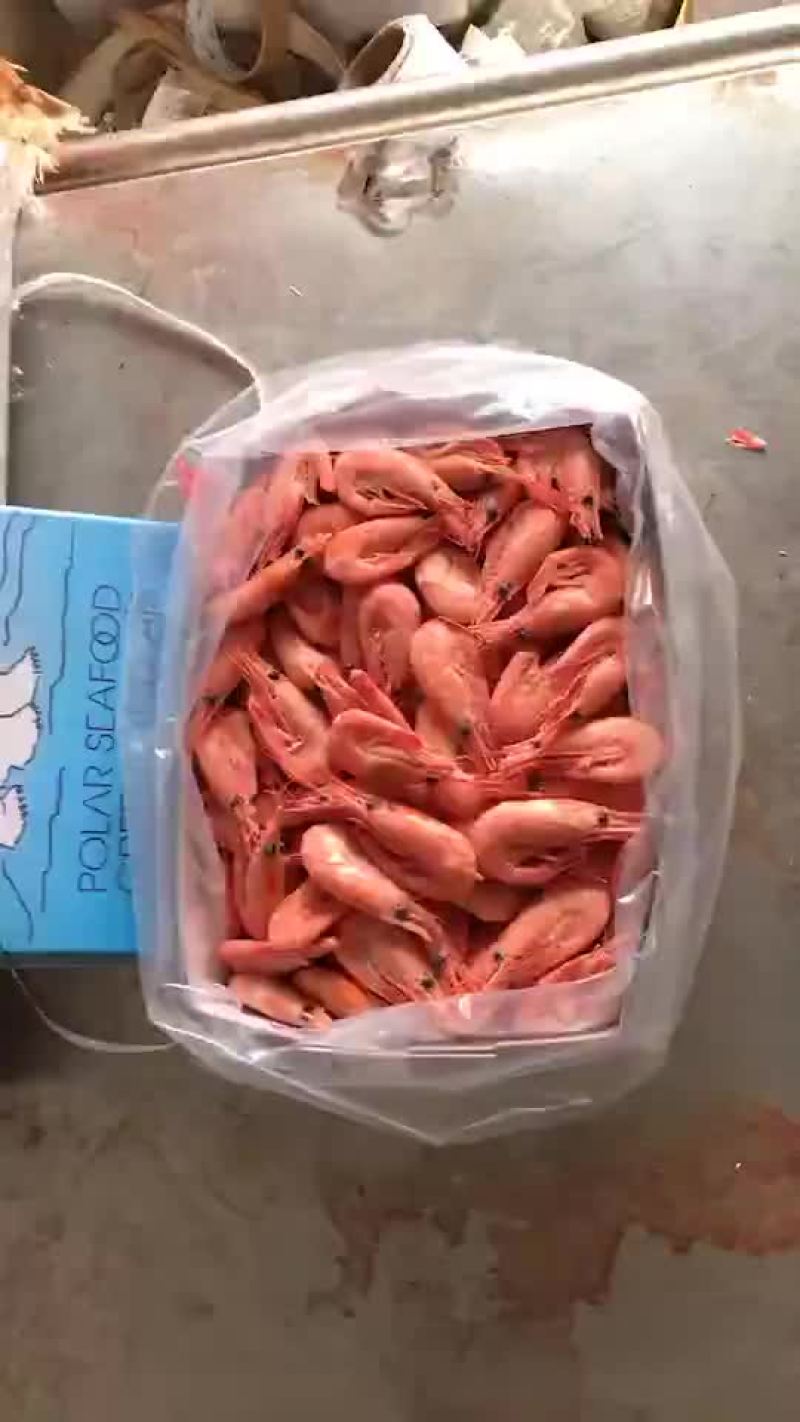 北极熊牌北极甜虾