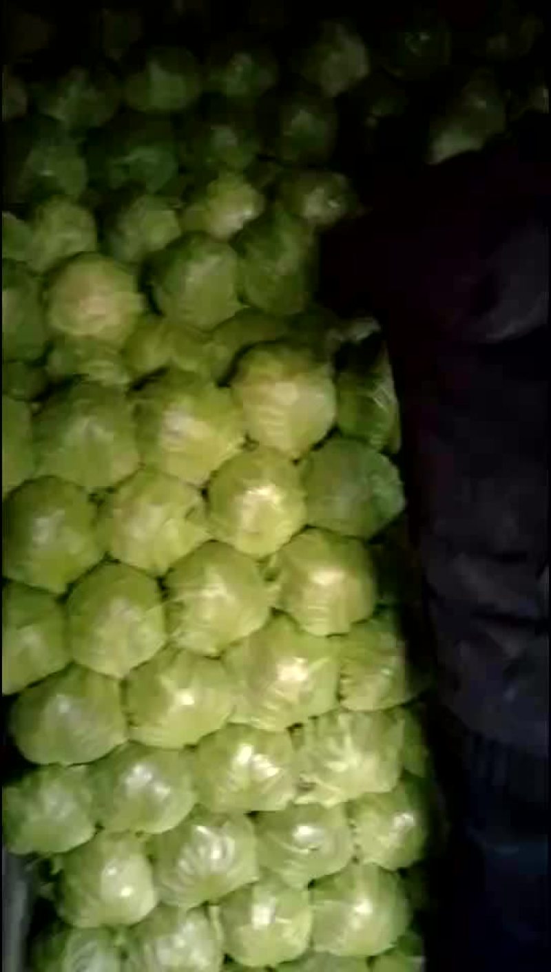 便宜菜