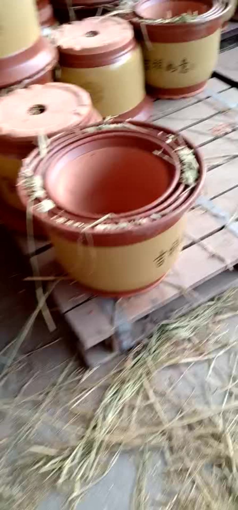 花盆批发