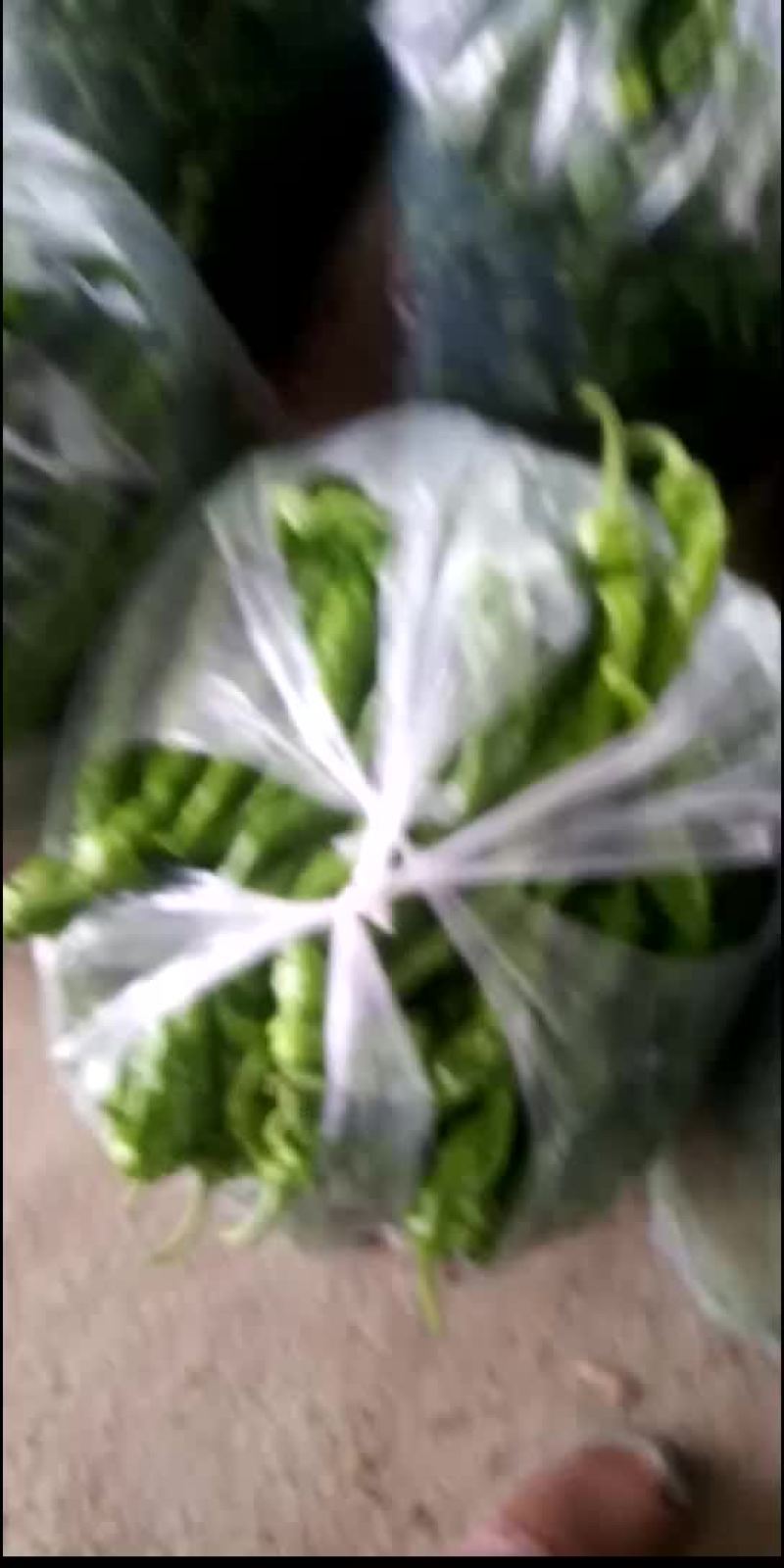 螺丝椒