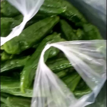 鲜辣椒泡椒