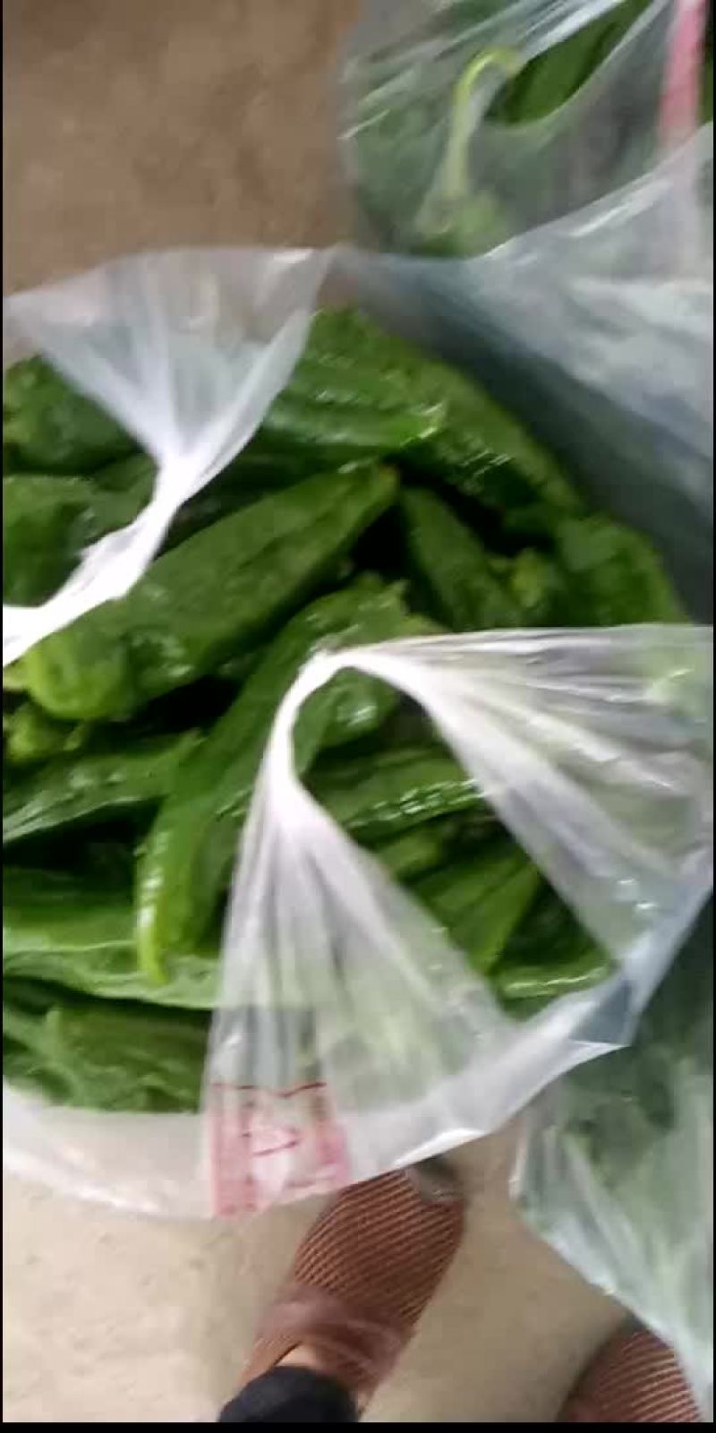 鲜辣椒泡椒