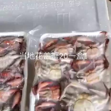 螃蟹