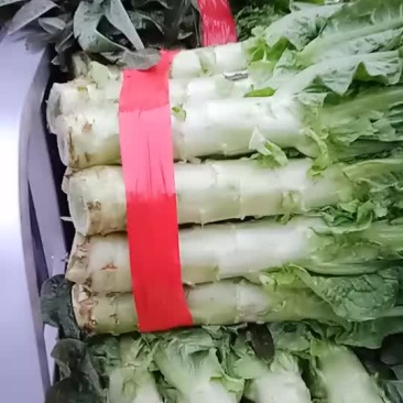 香耶窝巨