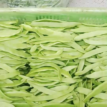 扁豆角