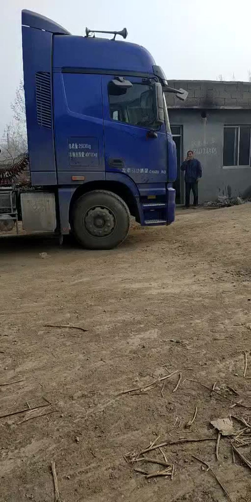 大棚反季节香椿树苗发货走车了