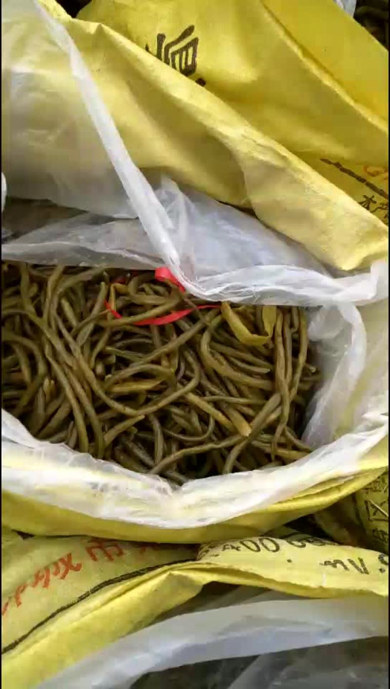 酸豆角
