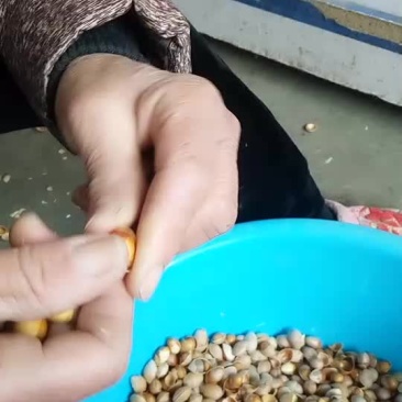 农副/副食