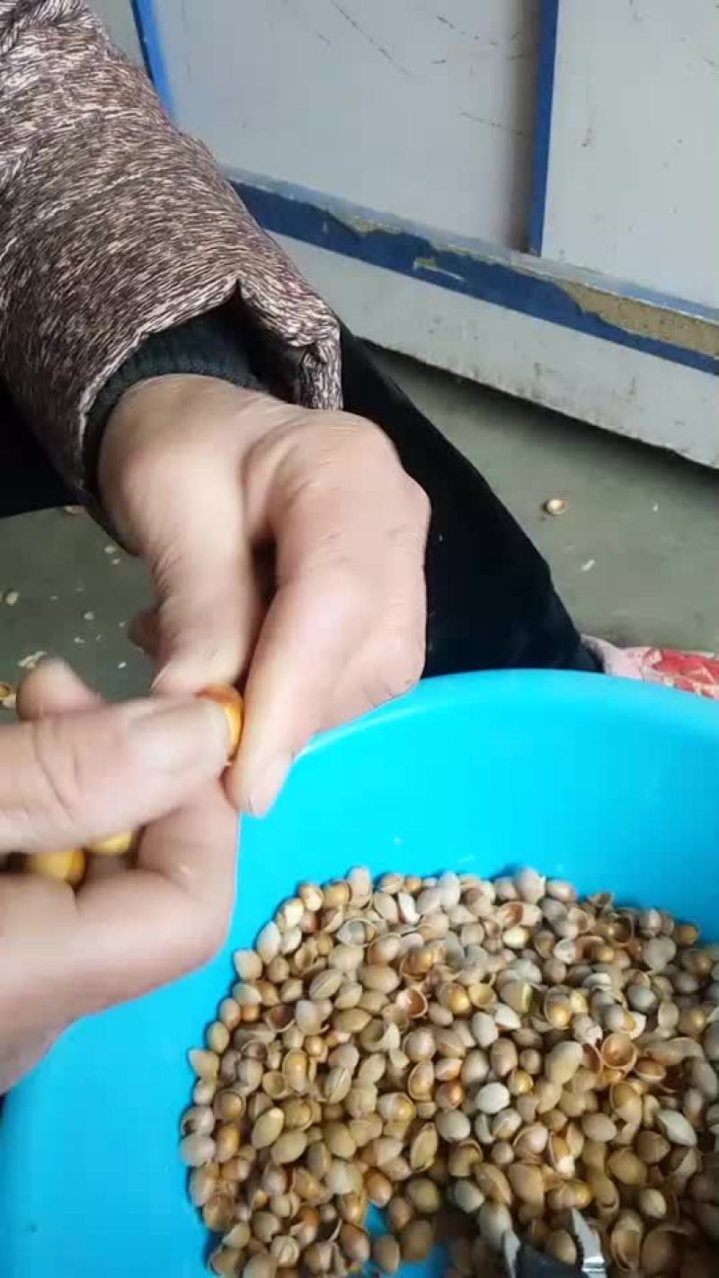 农副/副食