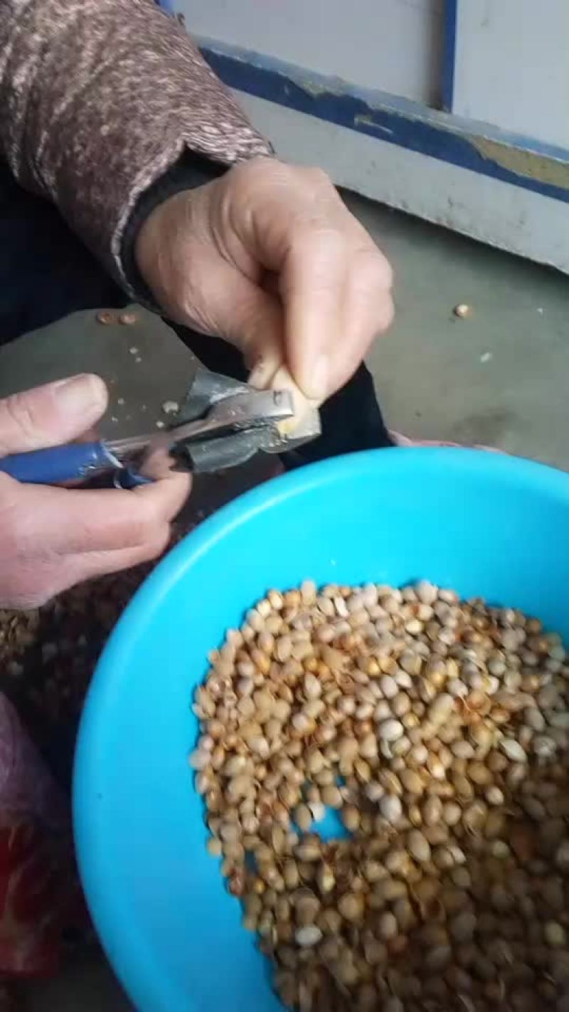农副/副食