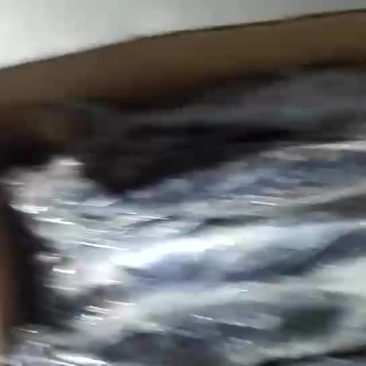 燕鱼