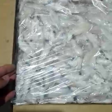 小墨斗