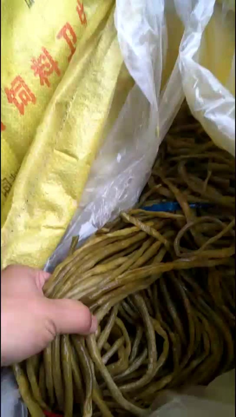 酸豆角