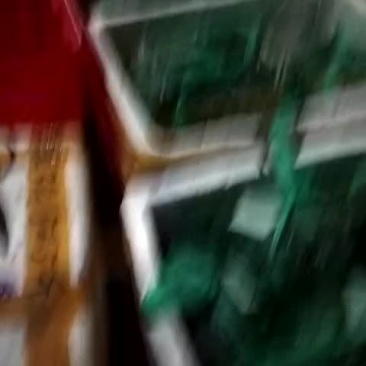 螃蟹
