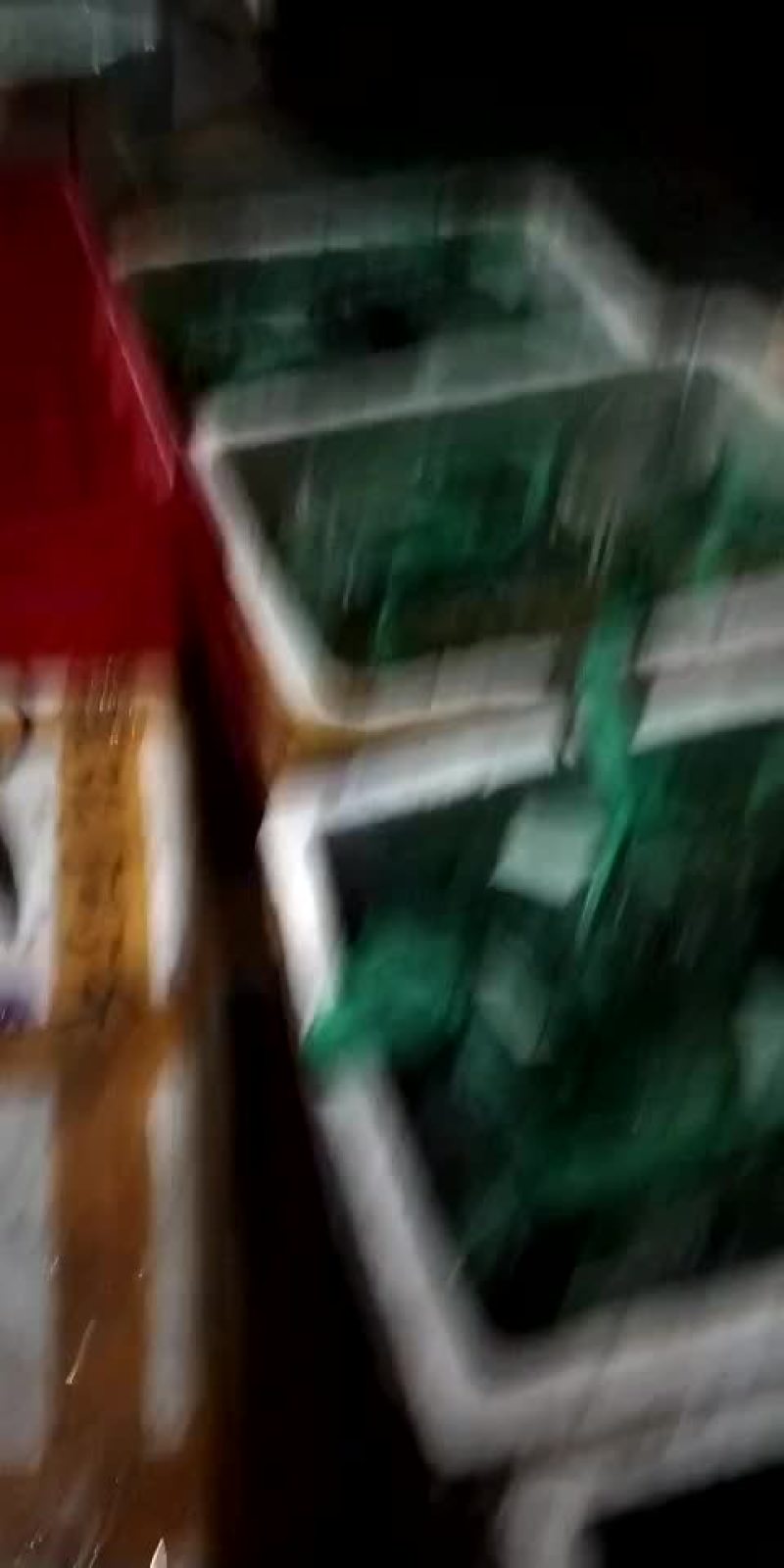 螃蟹