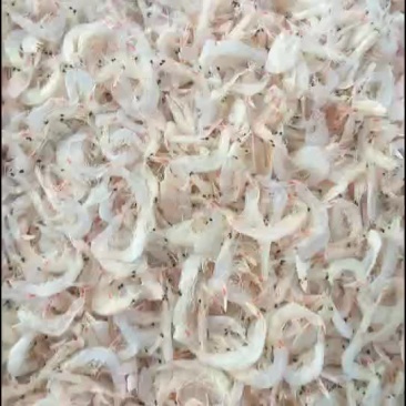 虾皮