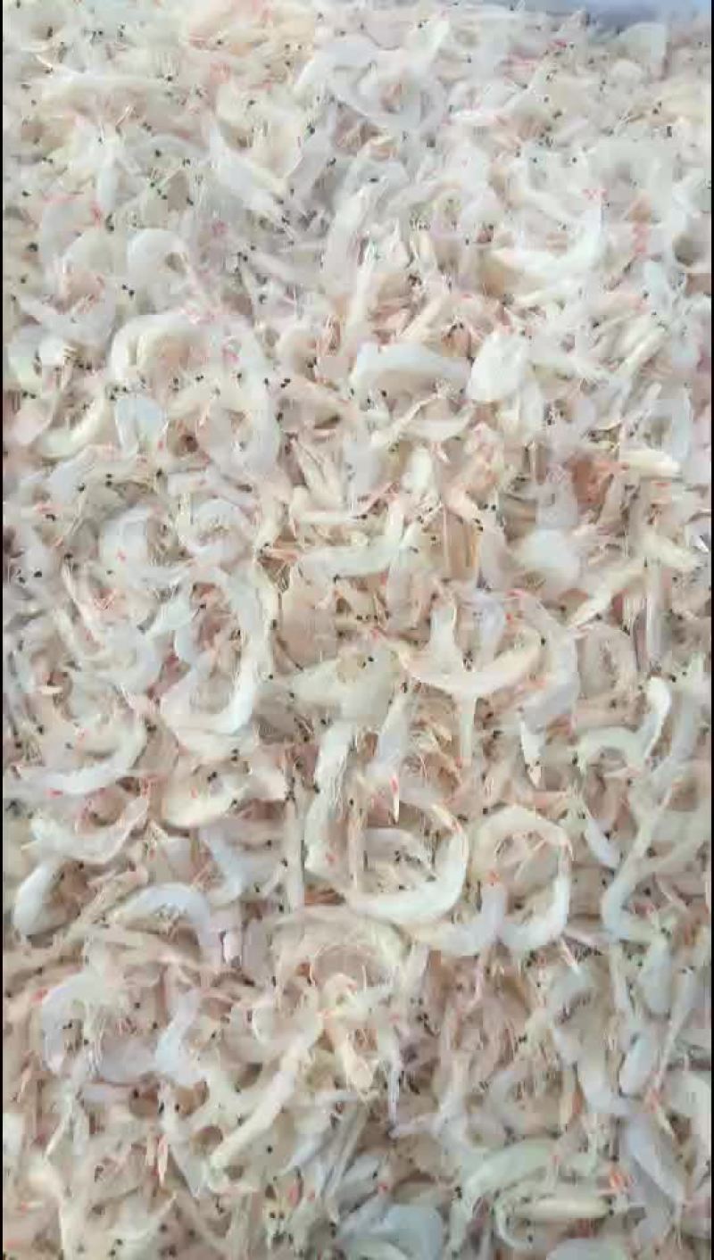 虾皮