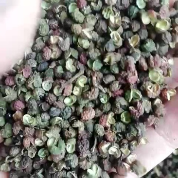 转红花椒