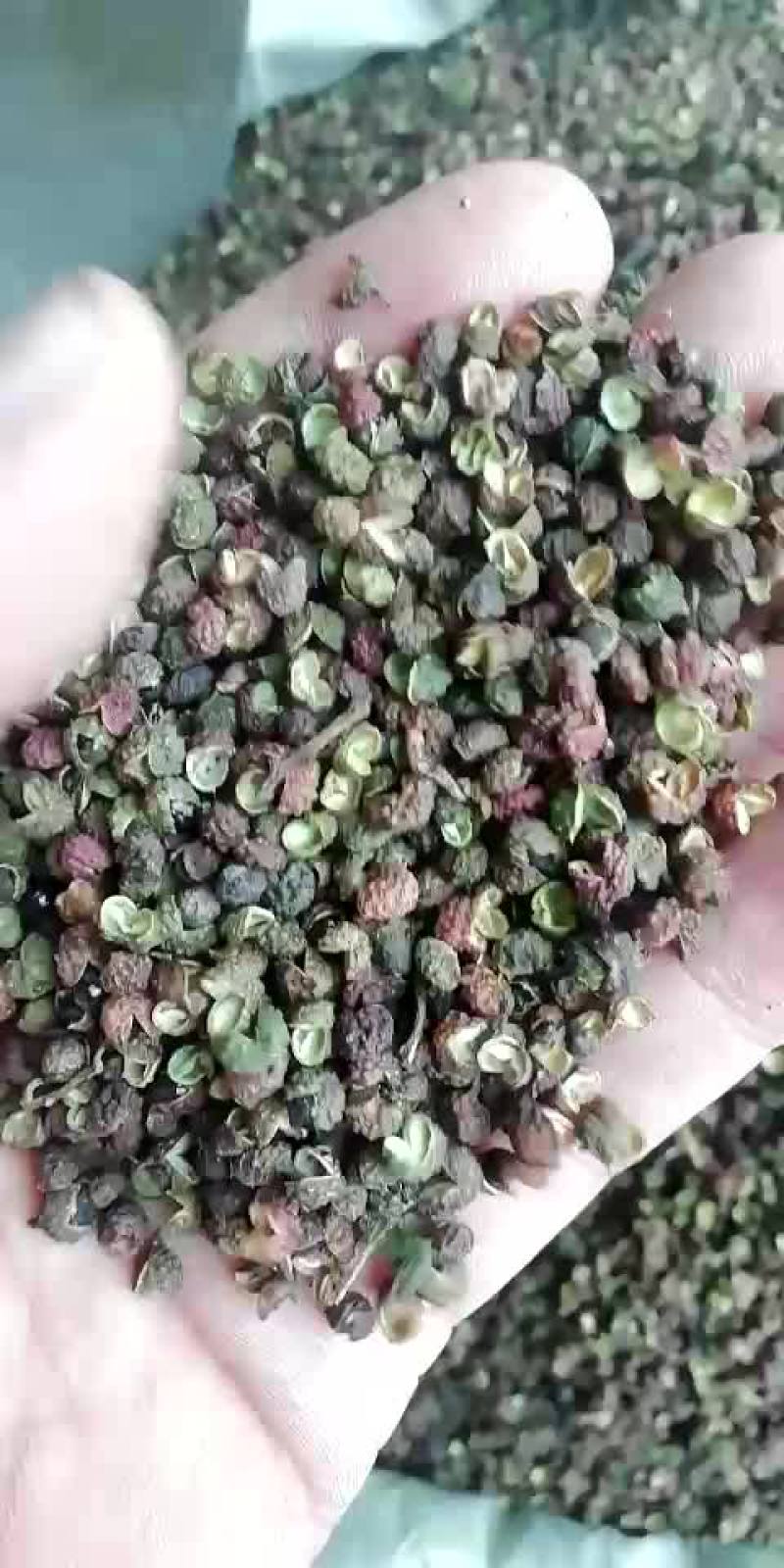 转红花椒