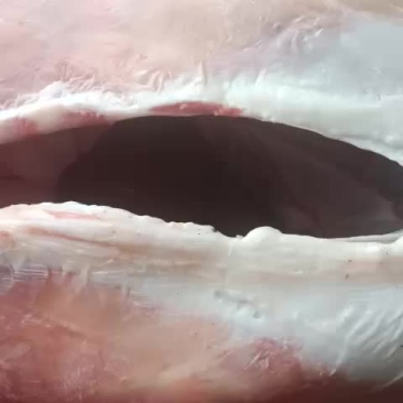 羔羊肉