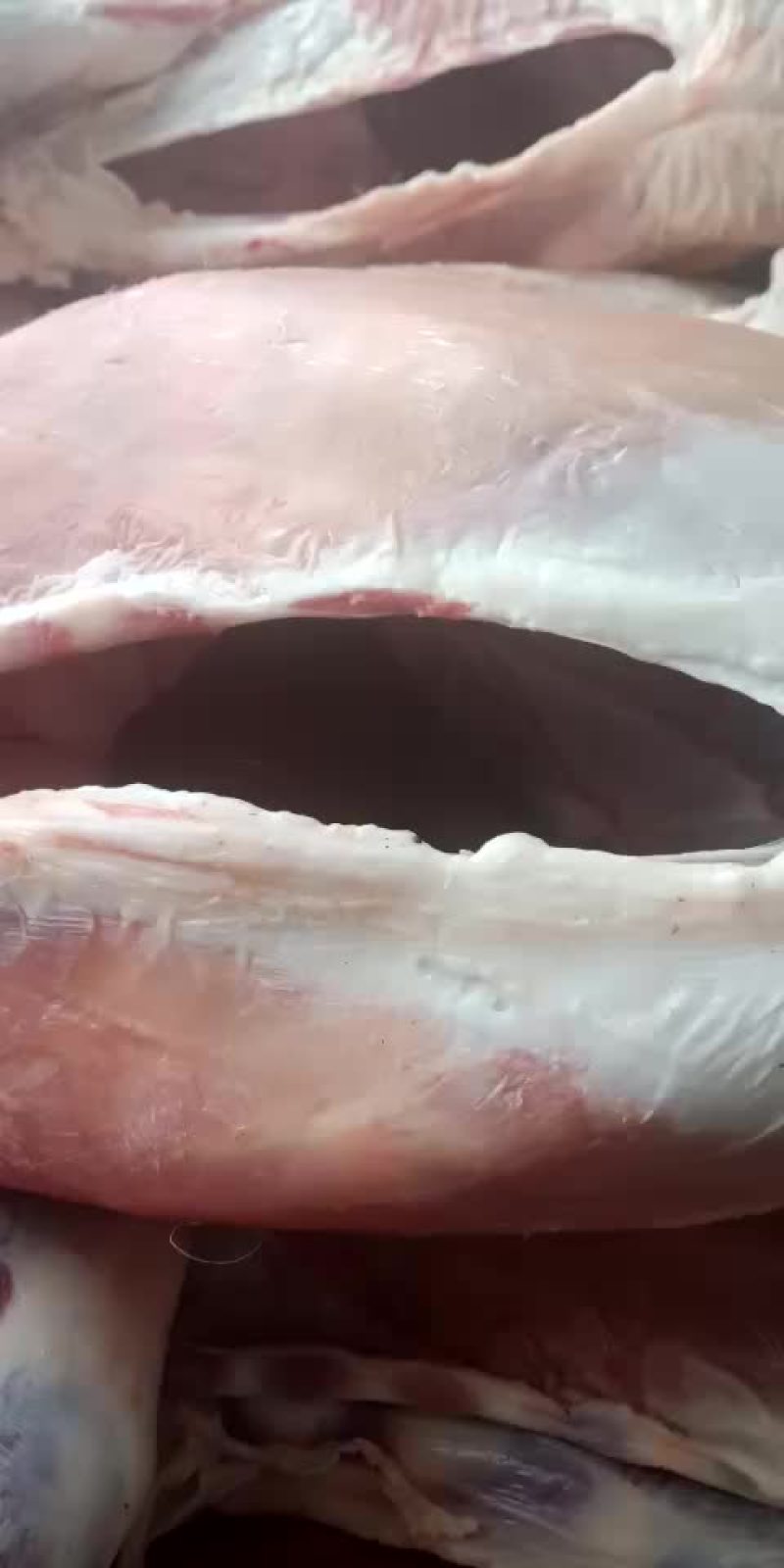 羔羊肉