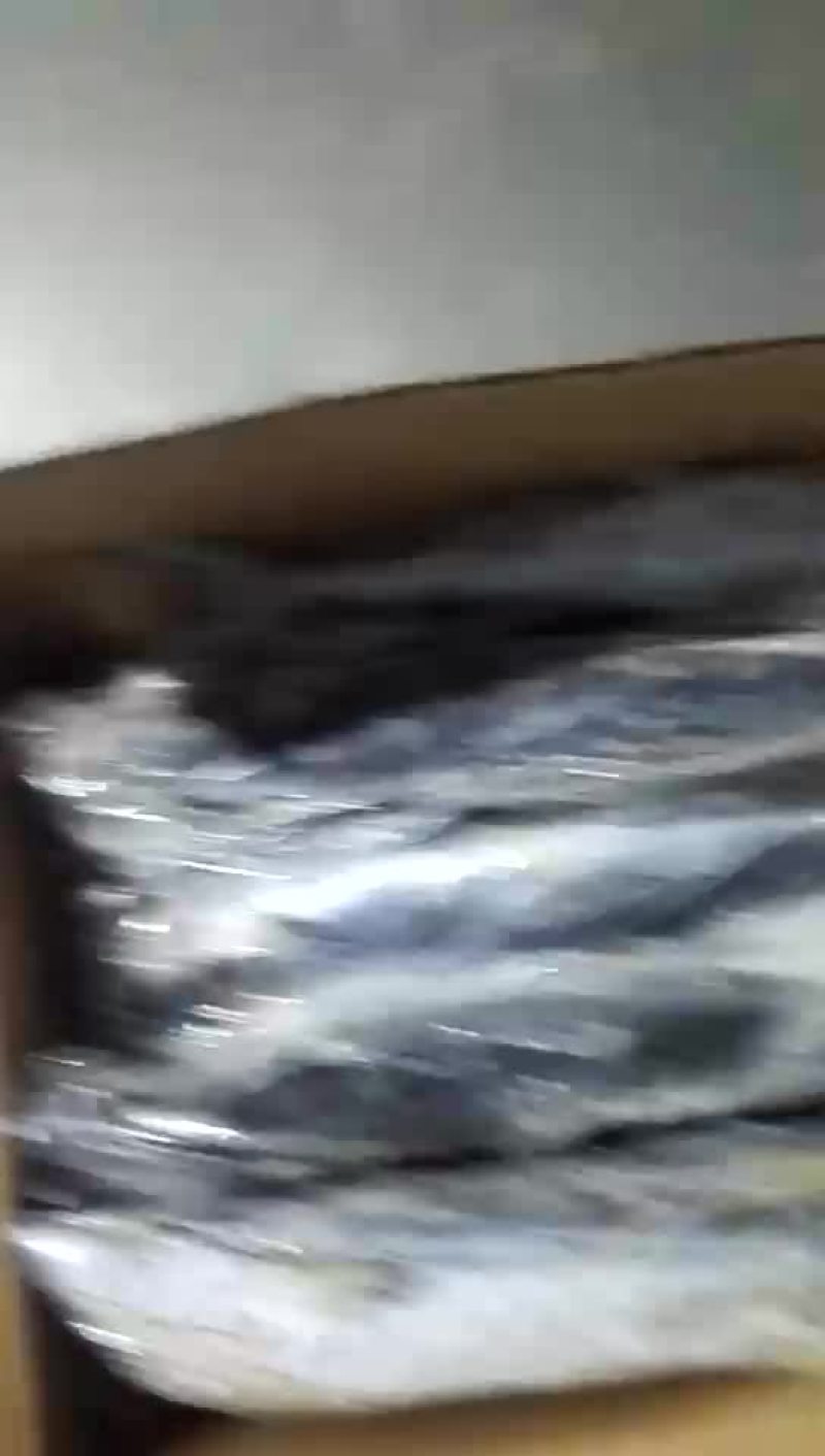 燕鱼