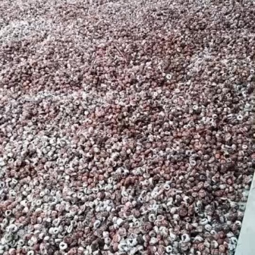 柿饼，以前的老品种柿子加工的，特别好吃