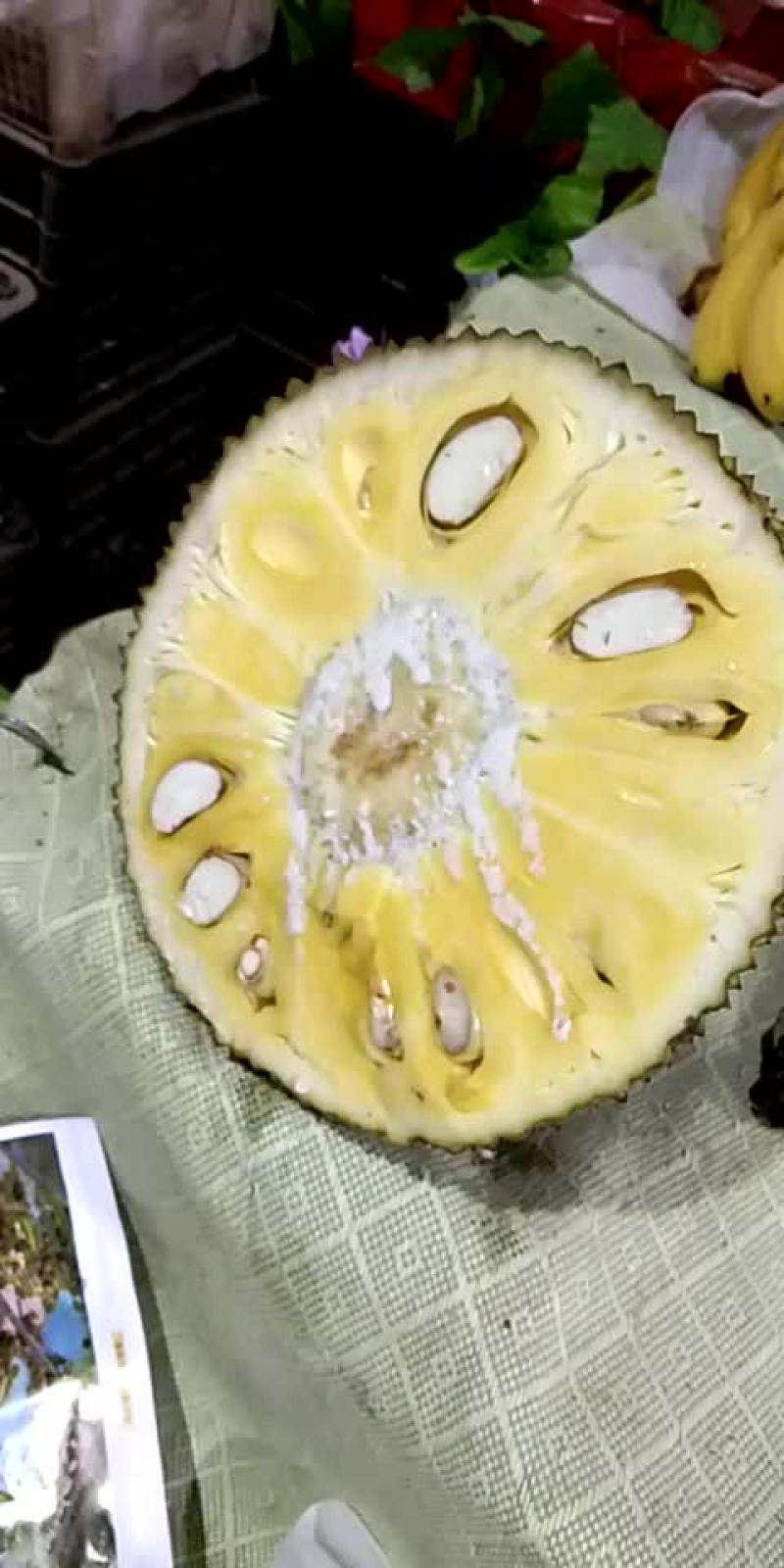 海南三亚菠萝蜜