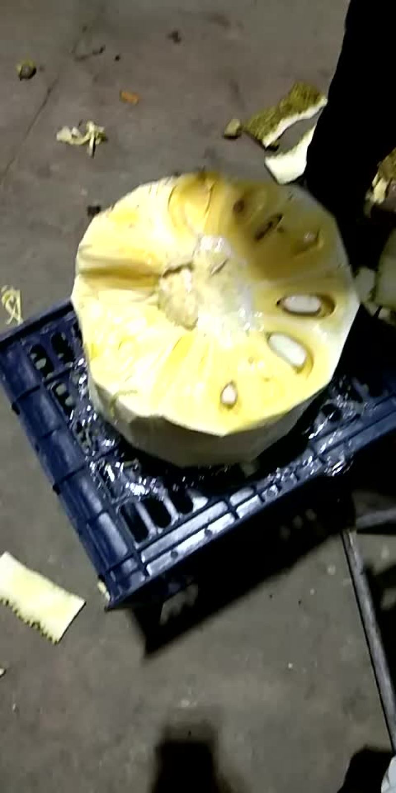 海南三亚菠萝蜜