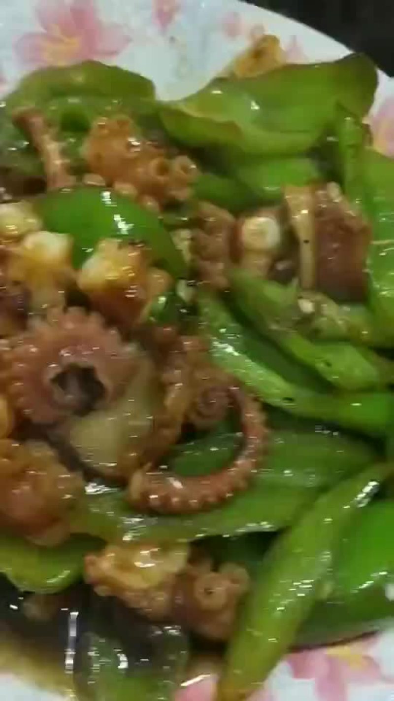 迷你小八爪鱼