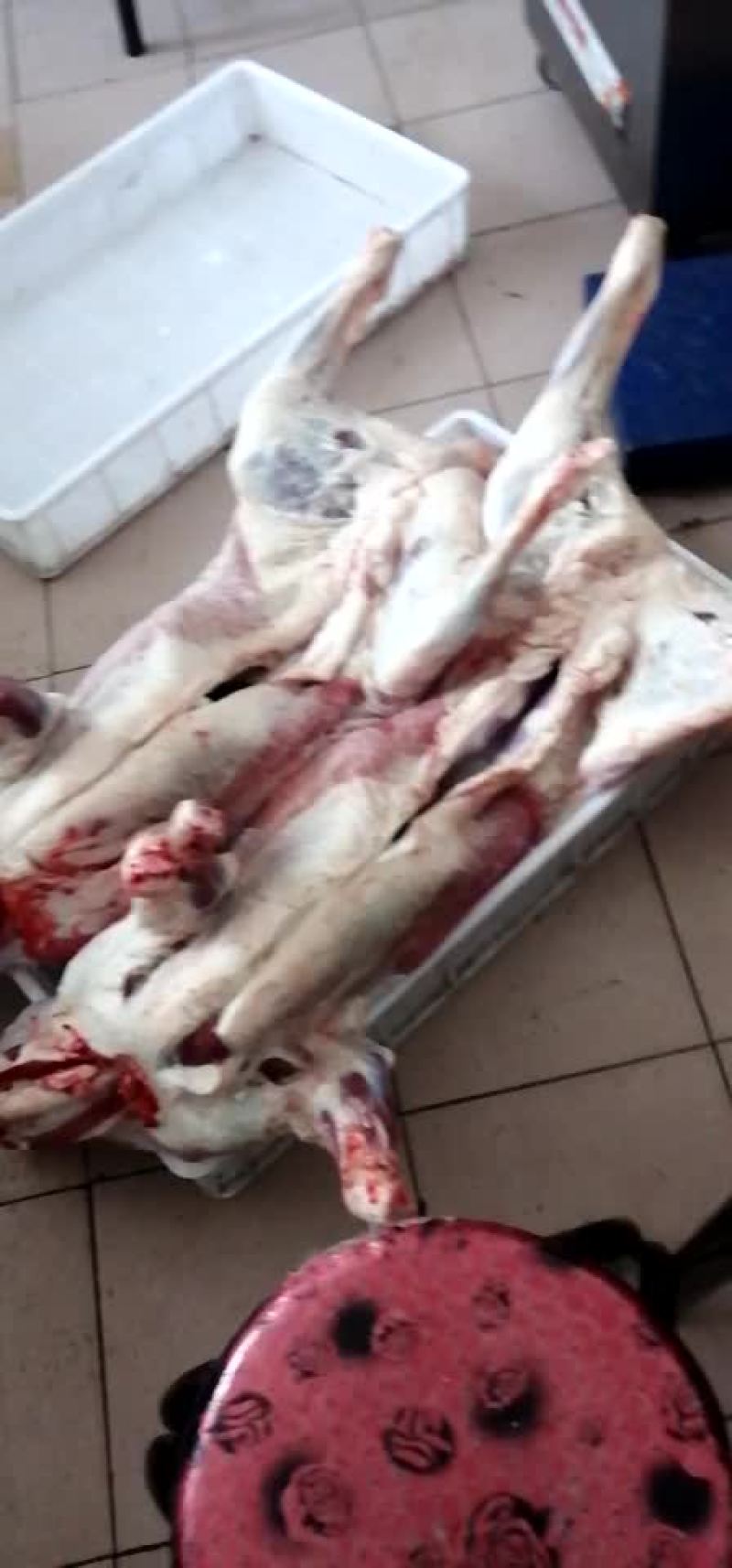 羔羊肉