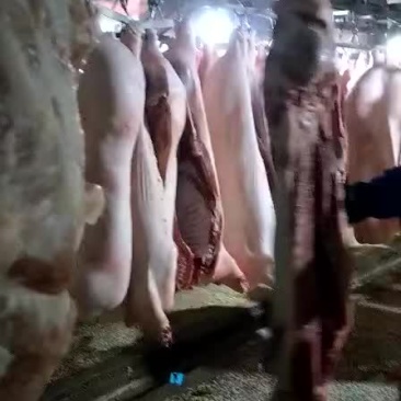 猪肉分割品