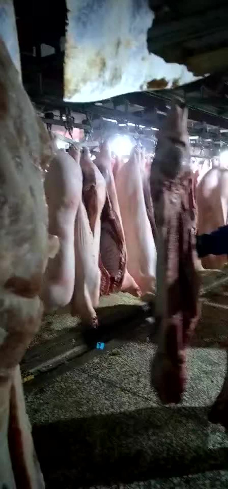 猪肉分割品