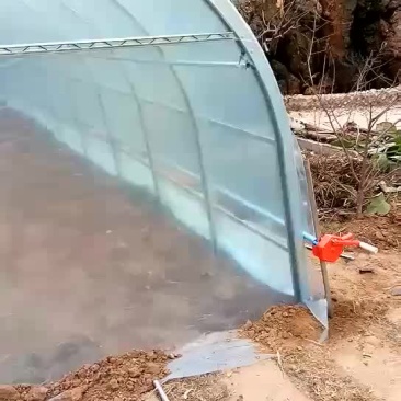 我帮您设计大棚的地理位置和座向