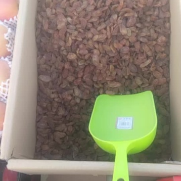 葡萄干：有红香妃，青香妃。