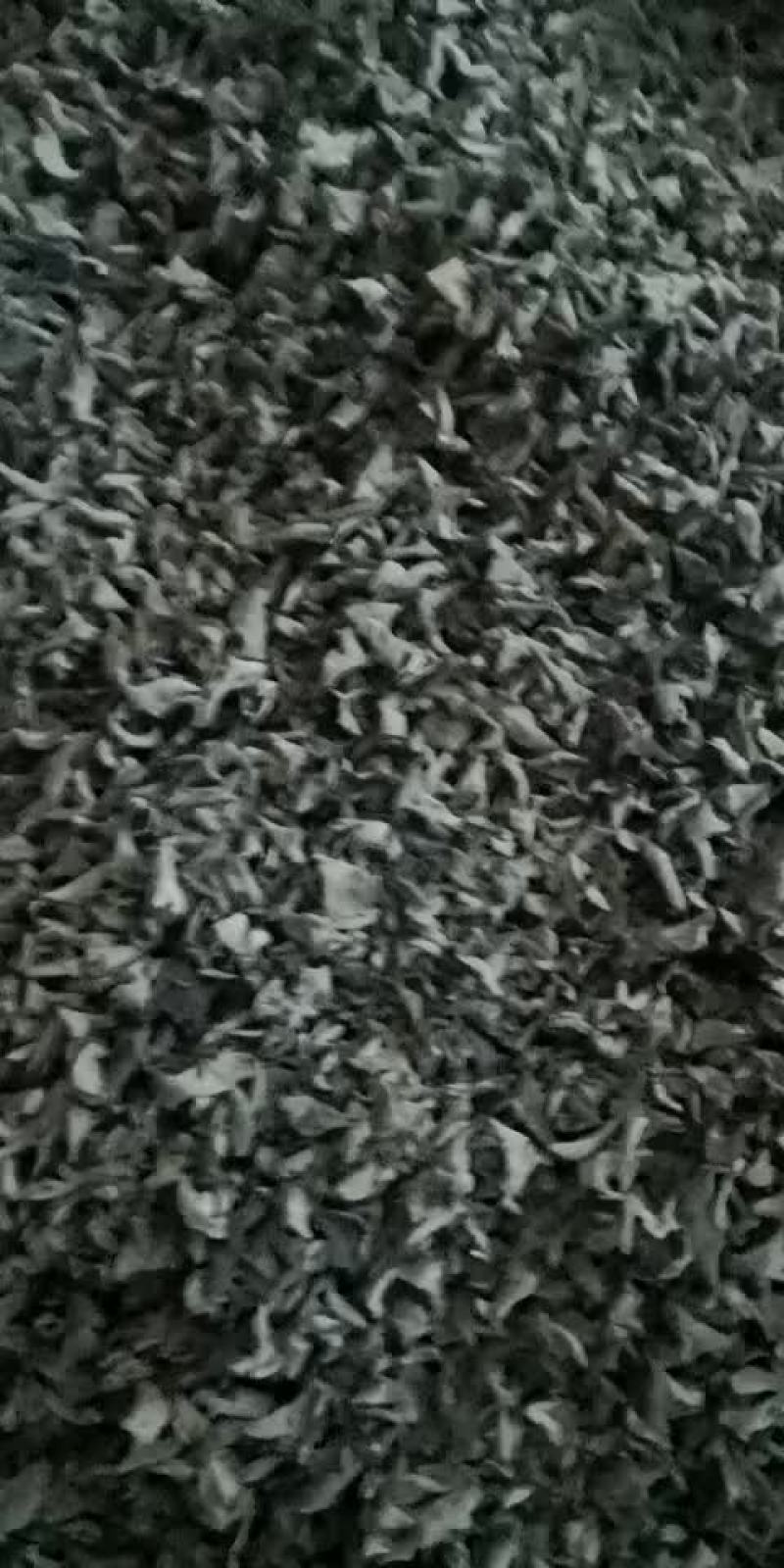 黑龙江秋木耳