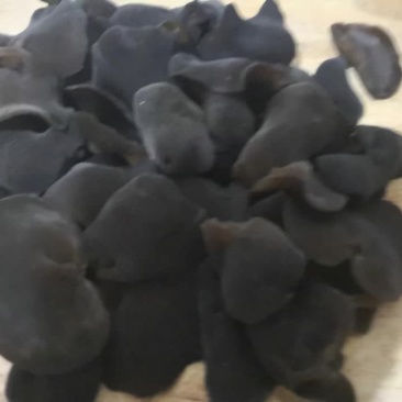 黑龙江秋木耳
