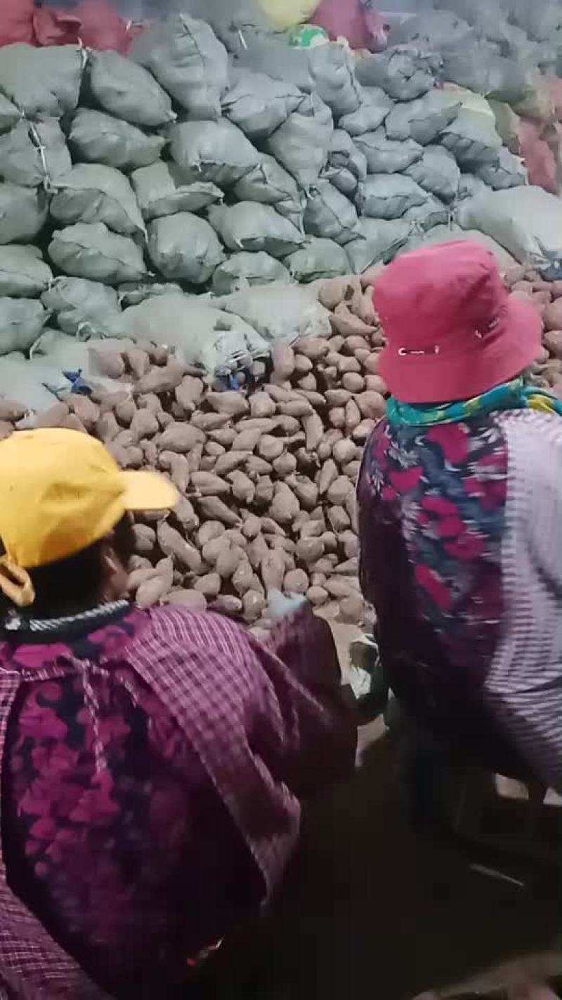 红薯