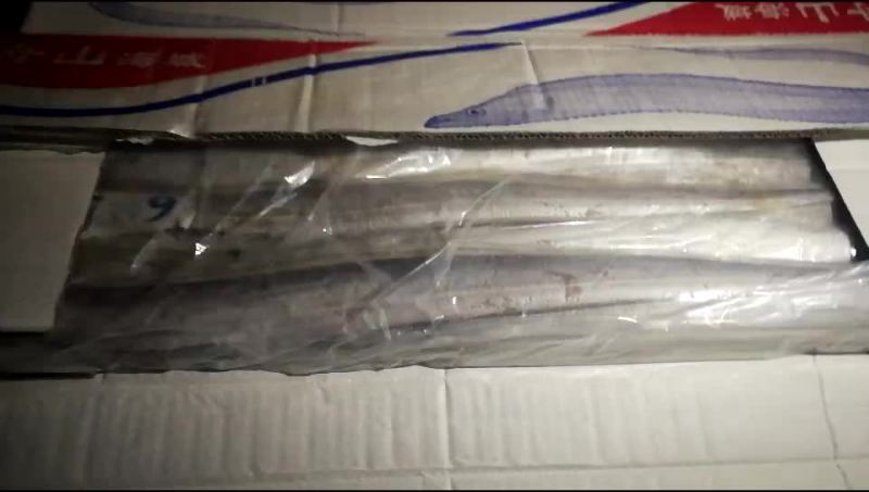 带鱼7一9大刀