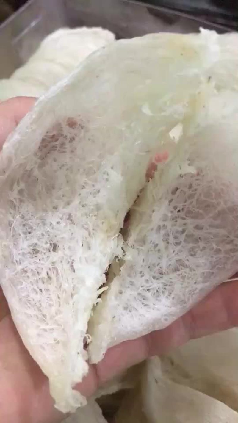 燕窝
