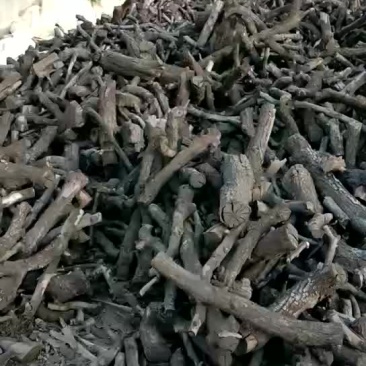 质量第一