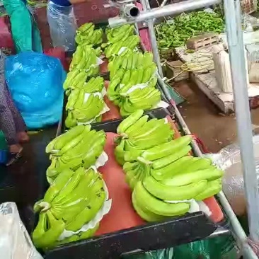 巴西香蕉